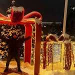 Булат, 37 лет